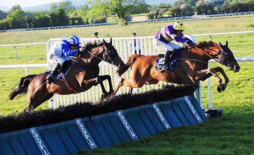 Big Generator pictured on his way to victory over hurdles at Tipperary last month