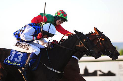 Phil's Magic (Aine O'Connor, far-side) gets up to beat Lady In Motion and Damian Murphy