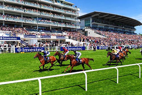 Thistle Bird winning in Epsom