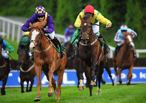 Rohan's Pride (Davy O'Leary, left) sees it out well from Sizing Solution