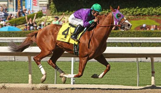 California Chrome 