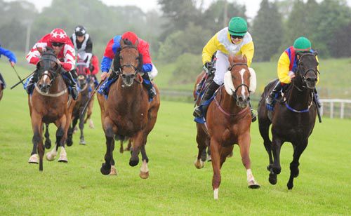 Pixie Spirit (cheekpieces) leads them home under Ana O'Brien 