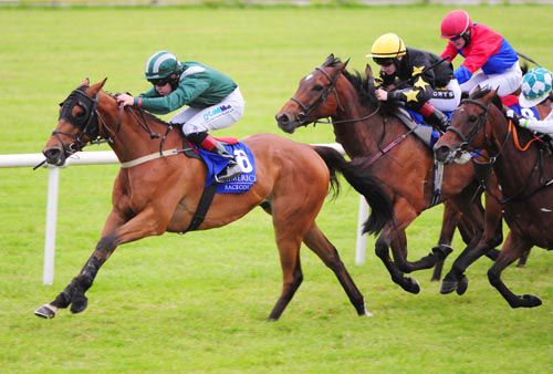 Danequest is pushed out close home by Leigh Roche