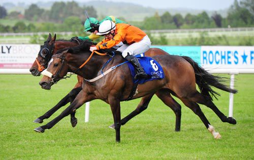 Money Spider (nearest) and Caim Hill battle out the finish