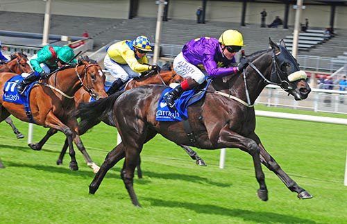 Bush Pilot runs out a comfortable winner under Pat Smullen 