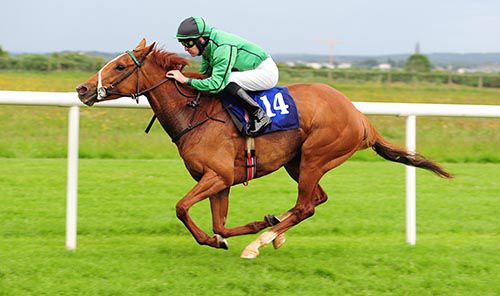 Irish Reel comes home an easy winner under Colm O'Donoghue 