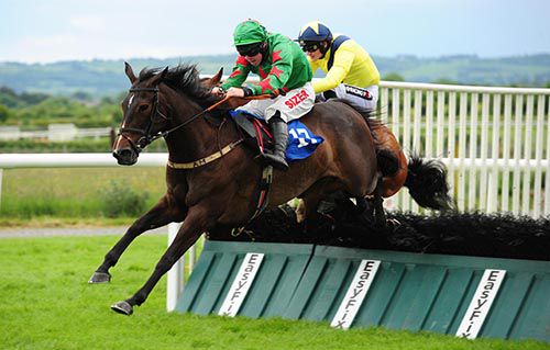 Olwenbrook and Andrew Lynch on their way to victory