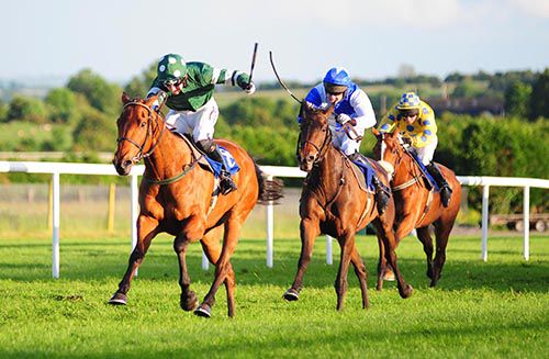 New Kid In Town fends off Liss Ui Riain