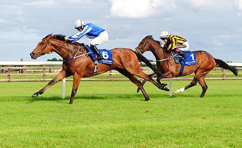 Photo Call is pushed out close home by Wayne Lordan to see off the challenge of Adroit 