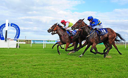 Share A Secret & Gary Phillips hold off all challengers as they approach the line