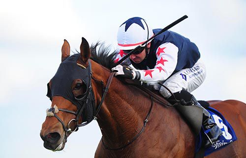 Hi Emperor is pushed out by Fergal Lynch in the closing stages