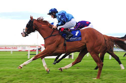 Blue Ridge Lane and Shane Foley just prevail in the seventh at Fairyhouse
