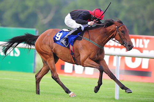 Scooping is driven out close home by Tom Madden