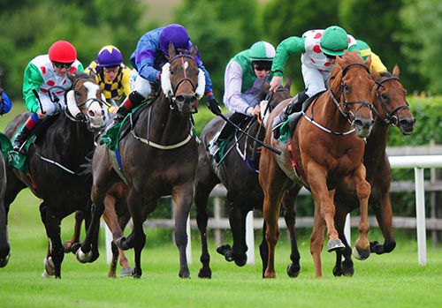 Shipyard (chestnut on the right) gets the better of More Questions (cheekpieces)