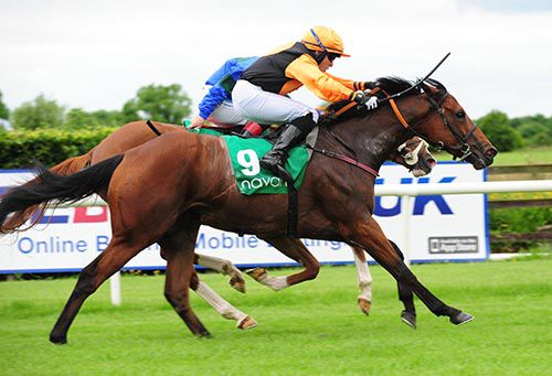 Les Darcy (nearest) just gets up to deny Shinyhappyjohn