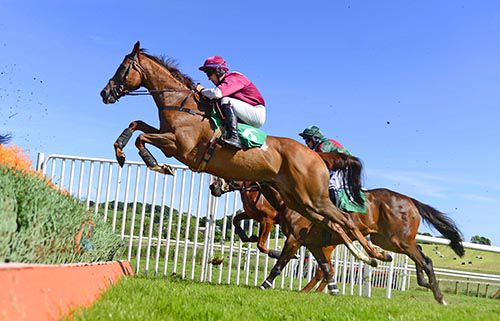 Coldstonesober comes to the last in Downpatrick