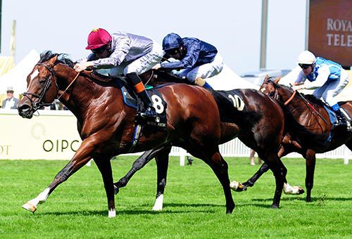 Toronado beats Verrazano in Royal Ascot