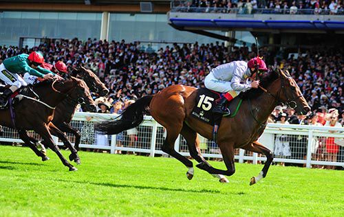 The Wow Signal in full flight at Royal Ascot