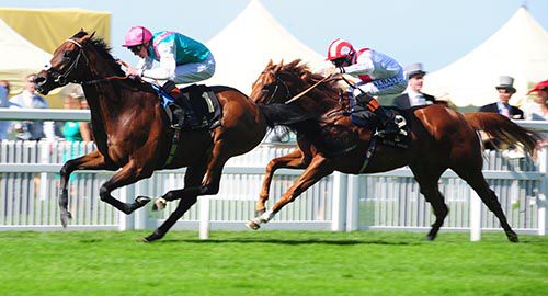 Kingman beats Night Of Thunder in Royal Ascot 