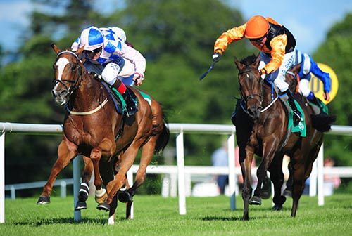 Flic Flac, left, outguns them in Sligo