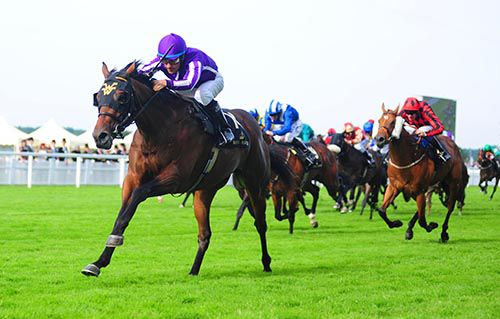 Hootenanny wins well at Royal Ascot 