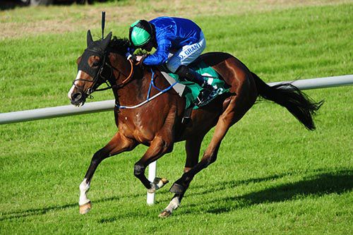 Waydownsouth heads for the winning post in Sligo