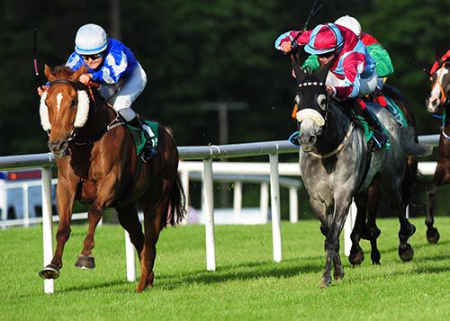 Calle Aneto, left, delivers his challenge in Sligo
