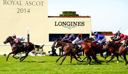 Shea Shea was 11th behind Sole Power yesterday