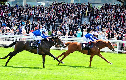 A 1,2 for Sheikh Hamdan Al Maktoum as Mustajeeb and Pat Smullen beat Muwaary and Paul Hanagan