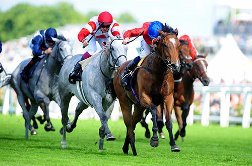 Integral powers home to victory under Ryan Moore