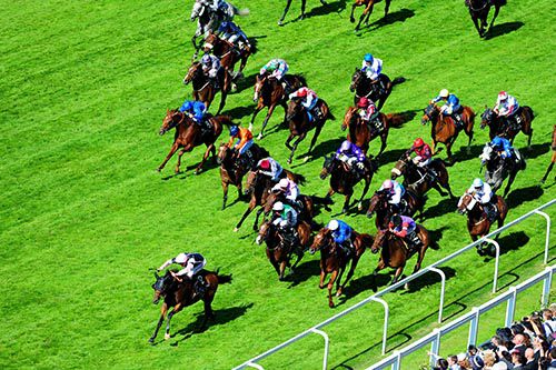 Royal Hunt Cup