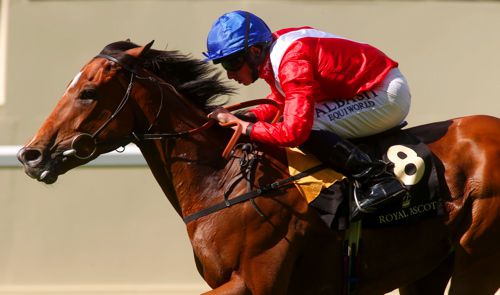 Integral is among those entered in the Matron Stakes