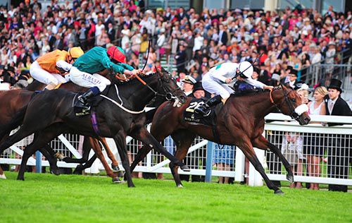 David Probert seen here winning at Royal Ascot in 2014 on Born In Bombay
