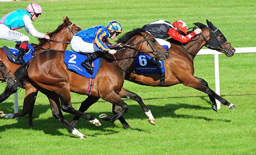 Royal Memory wins from Fire Stone and Comtesse