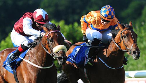 Pit Stop, left, wins a driving finish in Leopardstown