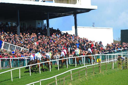 Downpatrick Racecourse
