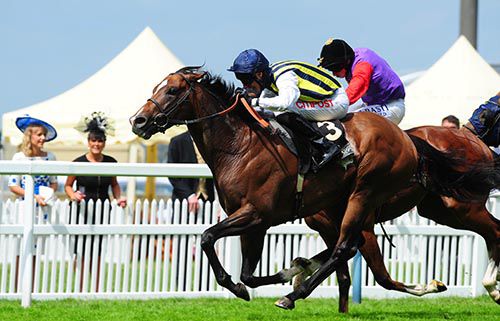 Contributer is driven out by George Baker to beat Bold Sniper