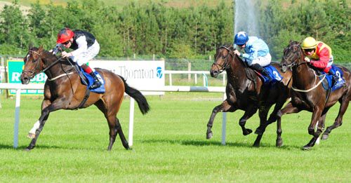 Stay De Night powers clear of his rivals under Pat Smullen