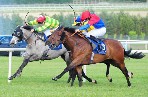 Hatton Cross (nearest) is driven out by Billy Lee to beat both Count Of Carabass (hidden) and Togoville (grey)