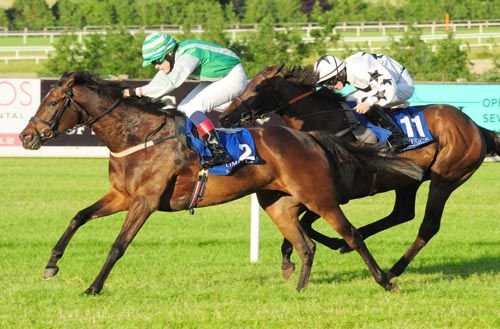 Bobskier is pushed out by Luke Dempsey to beat Mahrajaan