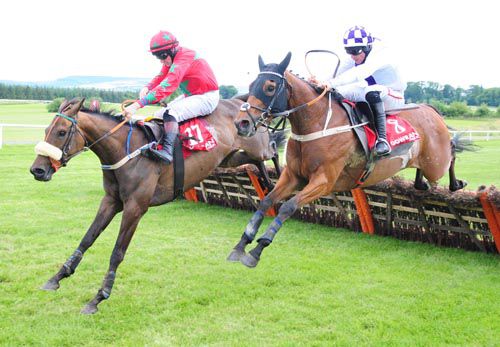 Padraig's Joy leads Star Power over the last 