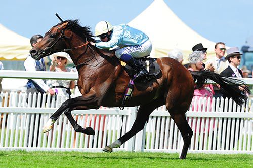 Arab Spring is driven out close home by Ryan Moore