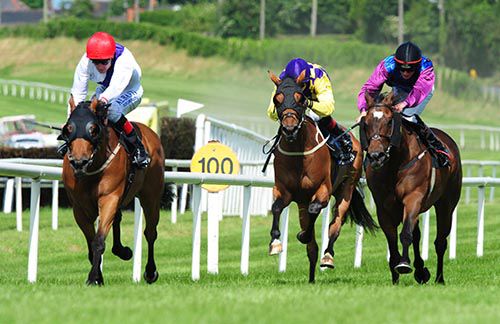 Norville, red cap, winning in Down Royal