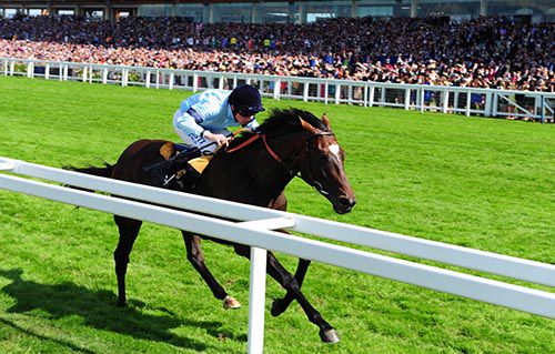 Telescope is ridden out by Ryan Moore