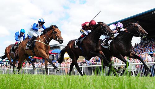Wexford Town (outside) gets up to win the Ulster Derby under Kevin Manning, beating Magnolia Beach (centre) and Azurite