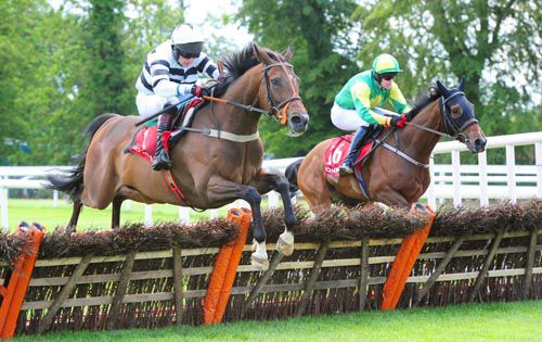Mojito Royale (left) and Mikey Butler leads from Daigreen at the last