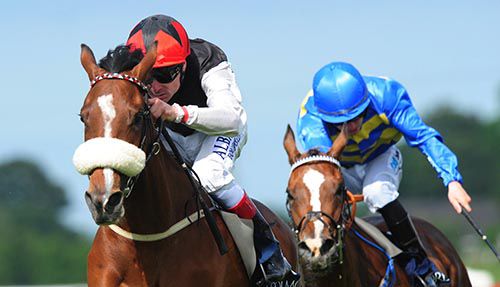 Vintage Nouveau, left, wins the Ulster Oaks in Down Royal