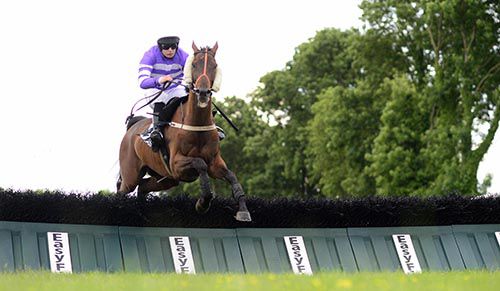 Dancing Roe clears the last under Ben Dalton