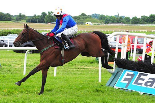 Brian's Express pictured on his way to victory under Robbie Moran 