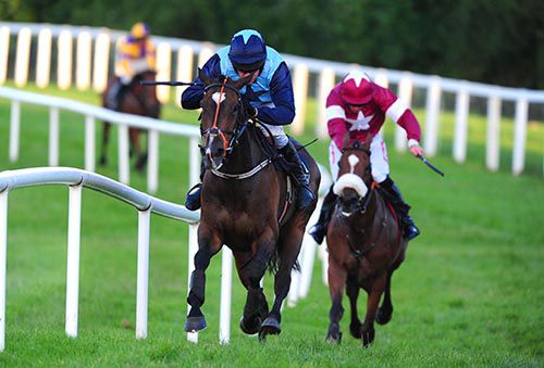 Cailin Annamh is ridden out by Barry Geraghty to beat Midnight Game and Highbrow Blue